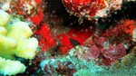 Thailand2013-0606.jpg