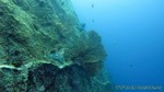 Thailand2013-0607.jpg