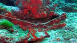 Thailand2013-0621.jpg
