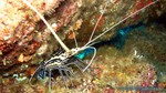 Thailand2013-0622.jpg
