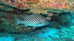 Thailand2013-0623.jpg
