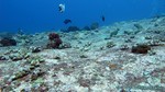Thailand2013-0625.jpg