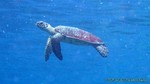 Thailand2013-0634.jpg