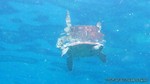 Thailand2013-0635.jpg