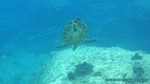 Thailand2013-0638.jpg