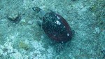 Thailand2013-0639.jpg