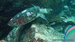 Thailand2013-0640.jpg