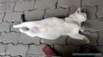 Thailand2013-0711.jpg