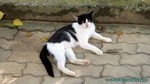 Thailand2013-0712.jpg