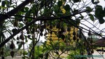 Thailand2013-0734.jpg