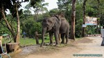 Thailand2013-0736.jpg