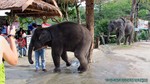 Thailand2013-0737.jpg