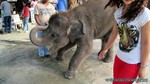 Thailand2013-0738.jpg