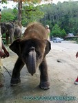 Thailand2013-0739.jpg
