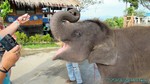 Thailand2013-0740.jpg