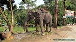 Thailand2013-0741.jpg