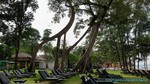 Thailand2013-0768.jpg