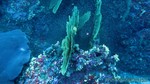 Thailand2013-0780.jpg