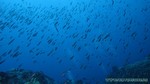 Thailand2013-0790.jpg