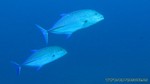 Thailand2013-0792.jpg