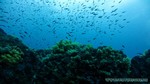 Thailand2013-0793.jpg