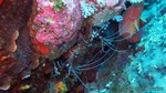 Thailand2013-0796.jpg