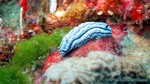 Thailand2013-0797.jpg