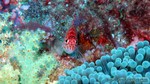 Thailand2013-0803.jpg