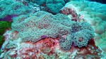Thailand2013-0804.jpg