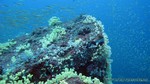 Thailand2013-0805.jpg