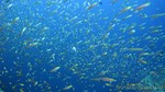 Thailand2013-0806.jpg
