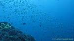 Thailand2013-0807.jpg