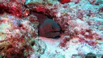 Thailand2013-0824.jpg