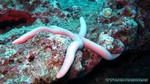 Thailand2013-0826.jpg