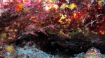 Thailand2013-0829.jpg