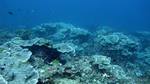 Thailand2013-0833.jpg