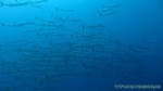 Thailand2013-0836.jpg