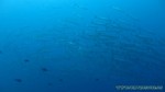 Thailand2013-0838.jpg