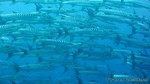 Thailand2013-0839.jpg