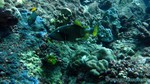 Thailand2013-0844.jpg