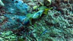Thailand2013-0845.jpg