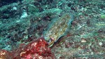Thailand2013-0846.jpg