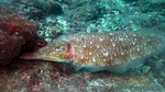 Thailand2013-0849.jpg
