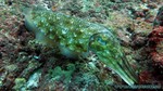 Thailand2013-0850.jpg