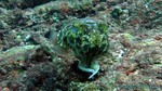 Thailand2013-0851.jpg
