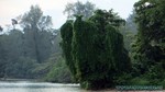 Thailand2013-0854.jpg