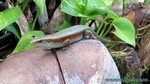Thailand2013-0859.jpg