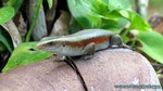 Thailand2013-0860.jpg