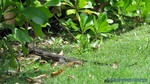 Thailand2013-0861.jpg