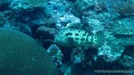 Thailand2013-0886.jpg
